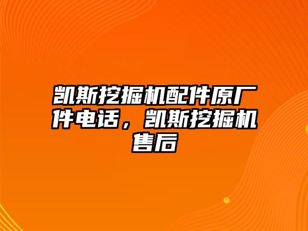 凱斯挖掘機(jī)配件原廠件電話，凱斯挖掘機(jī)售后