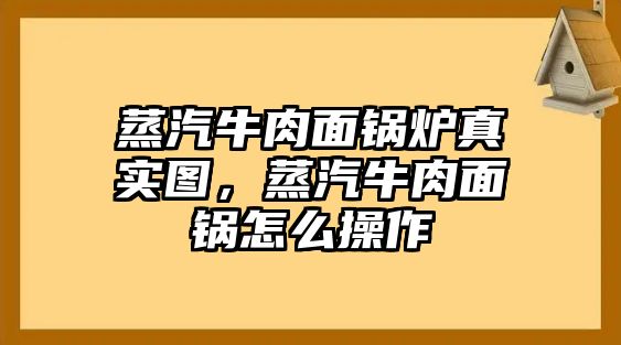 蒸汽牛肉面鍋爐真實圖，蒸汽牛肉面鍋怎么操作