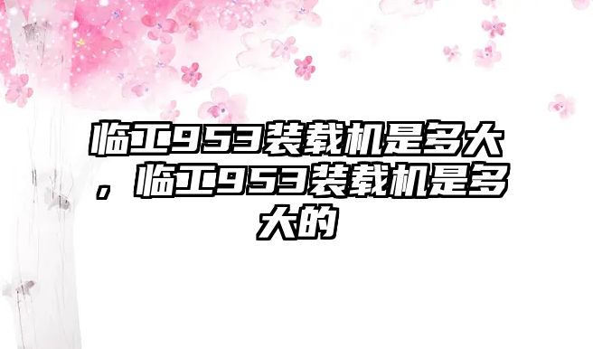 臨工953裝載機是多大，臨工953裝載機是多大的