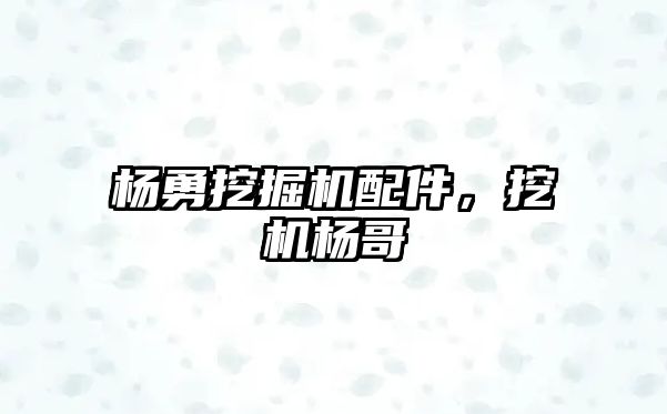 楊勇挖掘機配件，挖機楊哥