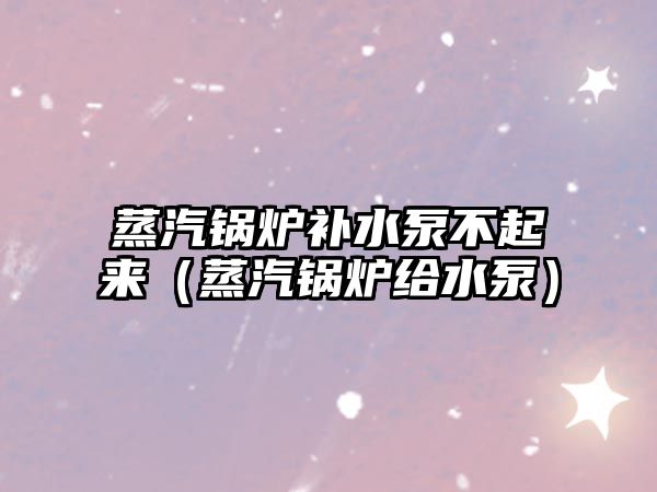 蒸汽鍋爐補(bǔ)水泵不起來（蒸汽鍋爐給水泵）