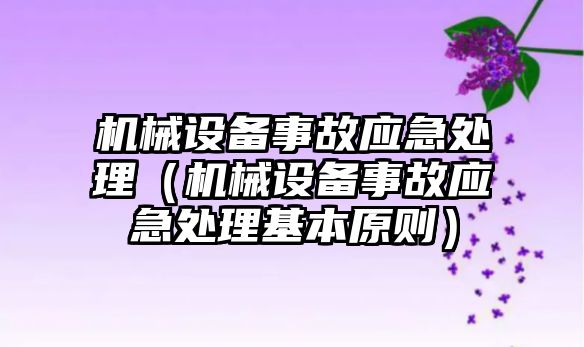 機械設備事故應急處理（機械設備事故應急處理基本原則）