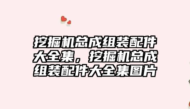 挖掘機總成組裝配件大全集，挖掘機總成組裝配件大全集圖片