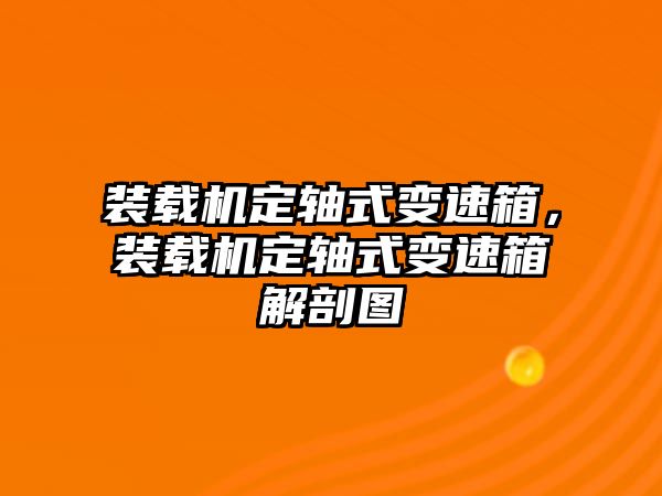 裝載機定軸式變速箱，裝載機定軸式變速箱解剖圖