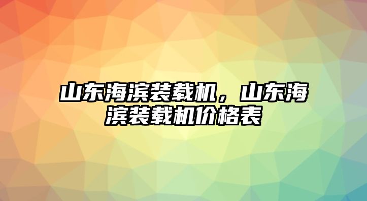 山東海濱裝載機，山東海濱裝載機價格表