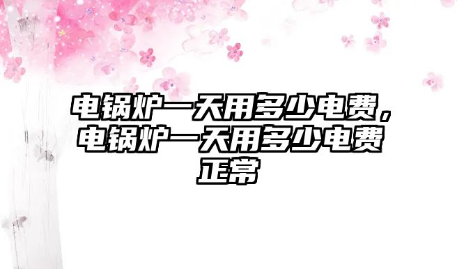 電鍋爐一天用多少電費，電鍋爐一天用多少電費正常