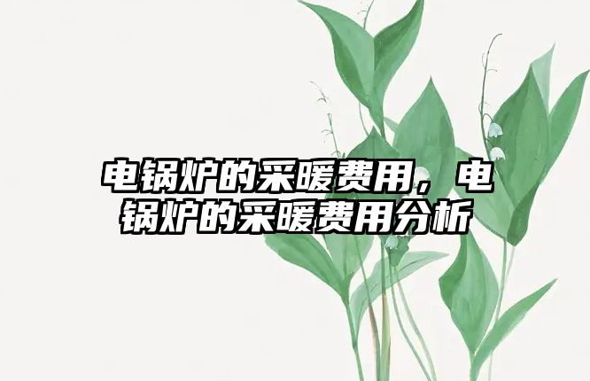 電鍋爐的采暖費(fèi)用，電鍋爐的采暖費(fèi)用分析