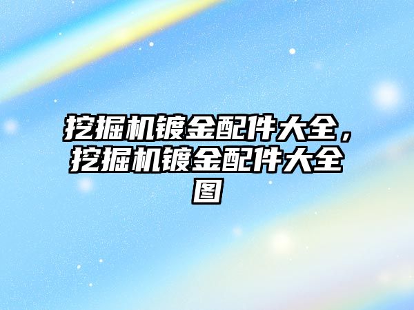 挖掘機鍍金配件大全，挖掘機鍍金配件大全圖