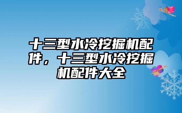 十三型水冷挖掘機(jī)配件，十三型水冷挖掘機(jī)配件大全