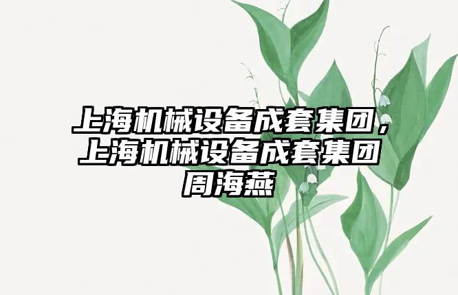 上海機械設(shè)備成套集團，上海機械設(shè)備成套集團周海燕