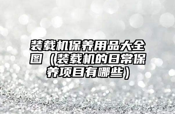 裝載機(jī)保養(yǎng)用品大全圖（裝載機(jī)的日常保養(yǎng)項目有哪些）