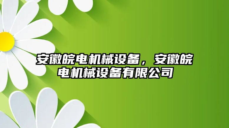 安徽皖電機械設(shè)備，安徽皖電機械設(shè)備有限公司