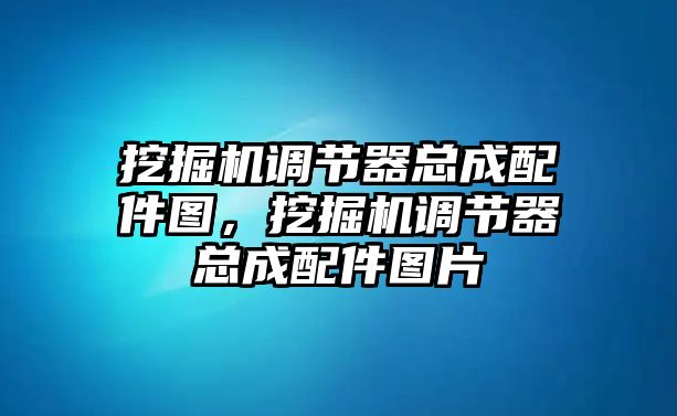 挖掘機(jī)調(diào)節(jié)器總成配件圖，挖掘機(jī)調(diào)節(jié)器總成配件圖片