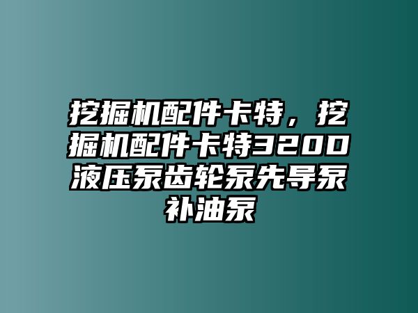 挖掘機(jī)配件卡特，挖掘機(jī)配件卡特320D液壓泵齒輪泵先導(dǎo)泵補(bǔ)油泵