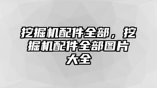 挖掘機(jī)配件全部，挖掘機(jī)配件全部圖片大全