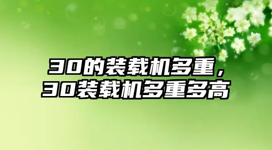 30的裝載機(jī)多重，30裝載機(jī)多重多高