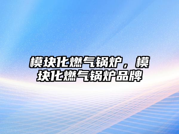 模塊化燃?xì)忮仩t，模塊化燃?xì)忮仩t品牌