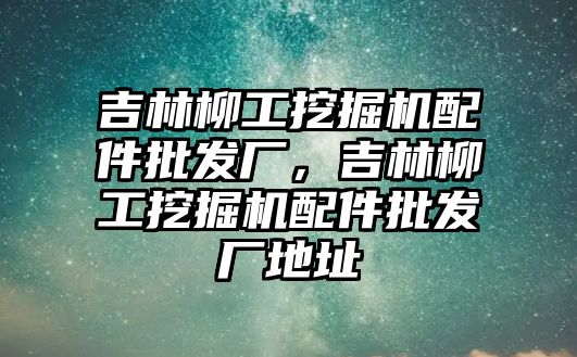 吉林柳工挖掘機配件批發(fā)廠，吉林柳工挖掘機配件批發(fā)廠地址