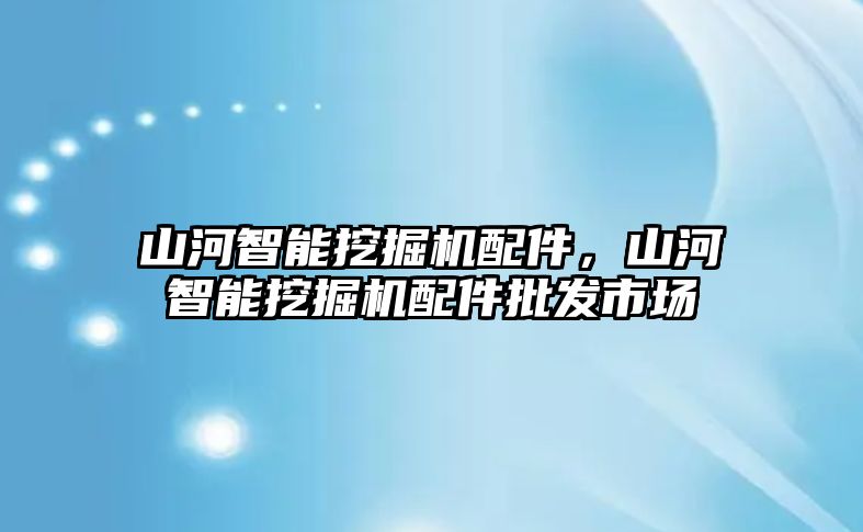 山河智能挖掘機配件，山河智能挖掘機配件批發(fā)市場