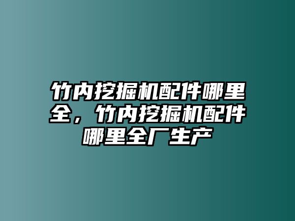 竹內(nèi)挖掘機(jī)配件哪里全，竹內(nèi)挖掘機(jī)配件哪里全廠生產(chǎn)