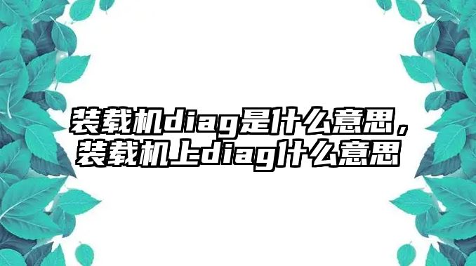 裝載機(jī)diag是什么意思，裝載機(jī)上diag什么意思