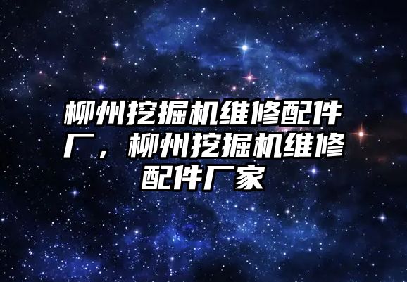 柳州挖掘機維修配件廠，柳州挖掘機維修配件廠家