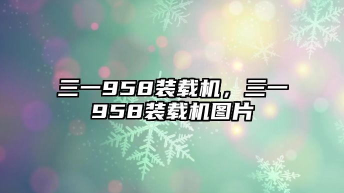 三一958裝載機(jī)，三一958裝載機(jī)圖片