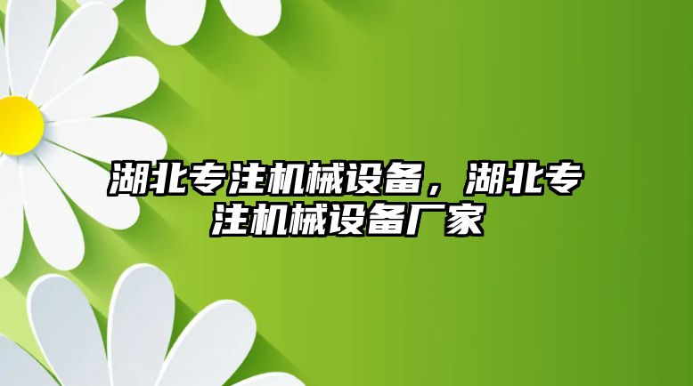 湖北專注機械設備，湖北專注機械設備廠家