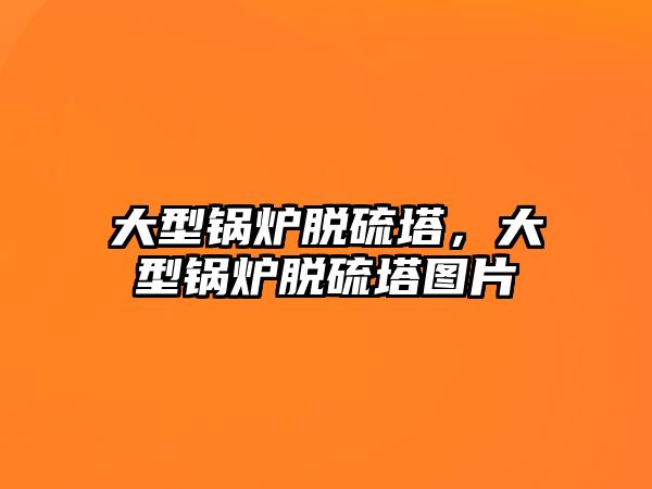 大型鍋爐脫硫塔，大型鍋爐脫硫塔圖片