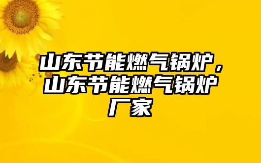 山東節(jié)能燃?xì)忮仩t，山東節(jié)能燃?xì)忮仩t廠家