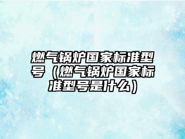 燃?xì)忮仩t國家標(biāo)準(zhǔn)型號(hào)（燃?xì)忮仩t國家標(biāo)準(zhǔn)型號(hào)是什么）