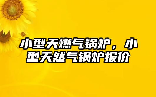 小型天燃?xì)忮仩t，小型天然氣鍋爐報(bào)價(jià)