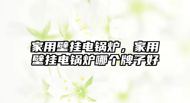 家用壁掛電鍋爐，家用壁掛電鍋爐哪個(gè)牌子好