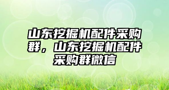 山東挖掘機(jī)配件采購(gòu)群，山東挖掘機(jī)配件采購(gòu)群微信