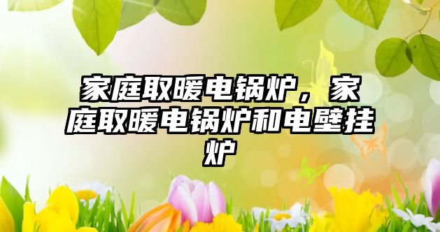 家庭取暖電鍋爐，家庭取暖電鍋爐和電壁掛爐