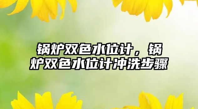 鍋爐雙色水位計(jì)，鍋爐雙色水位計(jì)沖洗步驟