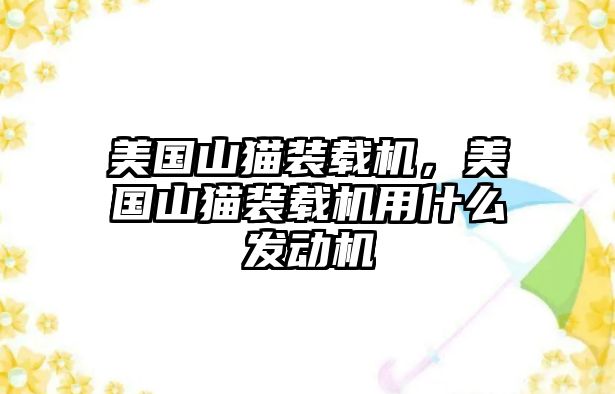 美國(guó)山貓裝載機(jī)，美國(guó)山貓裝載機(jī)用什么發(fā)動(dòng)機(jī)