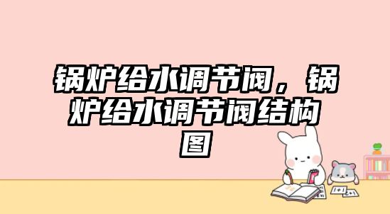 鍋爐給水調(diào)節(jié)閥，鍋爐給水調(diào)節(jié)閥結(jié)構(gòu)圖