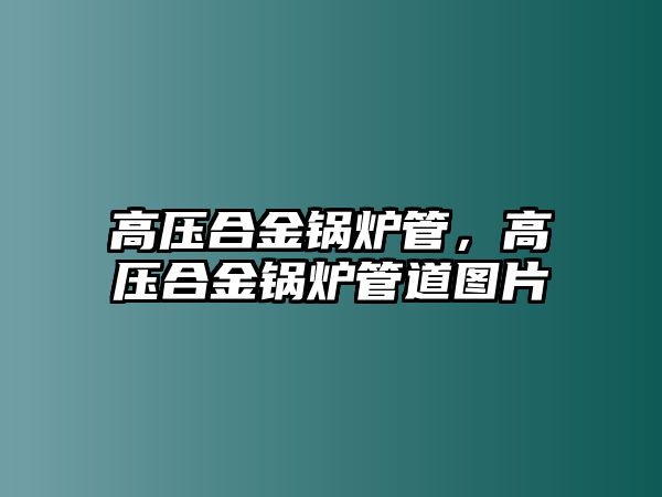 高壓合金鍋爐管，高壓合金鍋爐管道圖片