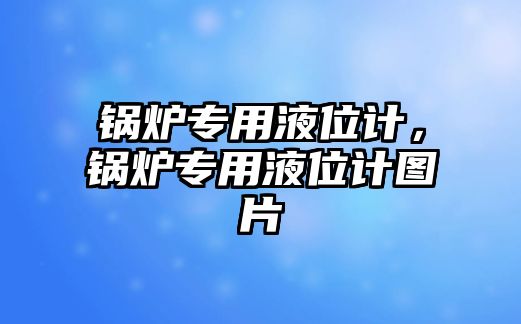 鍋爐專用液位計，鍋爐專用液位計圖片