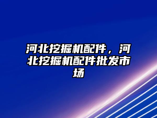 河北挖掘機配件，河北挖掘機配件批發(fā)市場