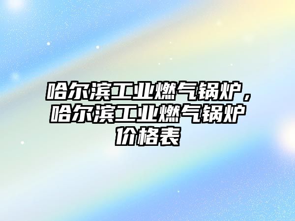 哈爾濱工業(yè)燃?xì)忮仩t，哈爾濱工業(yè)燃?xì)忮仩t價(jià)格表