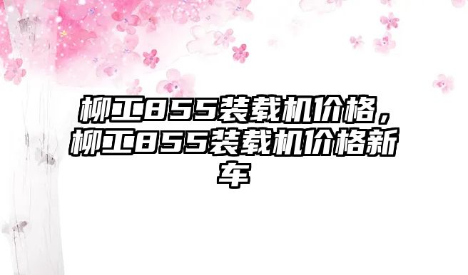 柳工855裝載機(jī)價(jià)格，柳工855裝載機(jī)價(jià)格新車