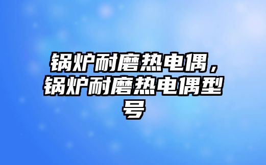 鍋爐耐磨熱電偶，鍋爐耐磨熱電偶型號