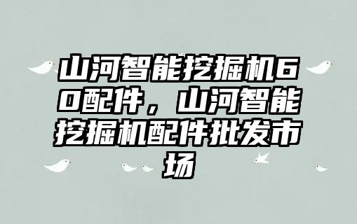 山河智能挖掘機(jī)60配件，山河智能挖掘機(jī)配件批發(fā)市場(chǎng)