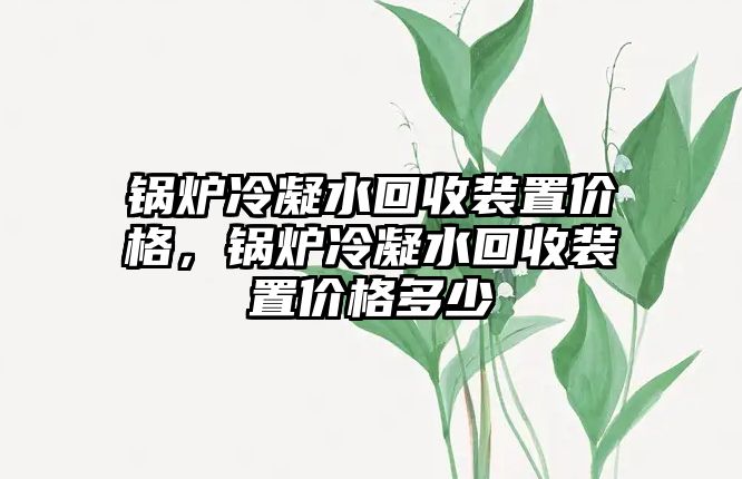 鍋爐冷凝水回收裝置價(jià)格，鍋爐冷凝水回收裝置價(jià)格多少