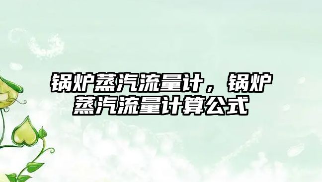 鍋爐蒸汽流量計(jì)，鍋爐蒸汽流量計(jì)算公式