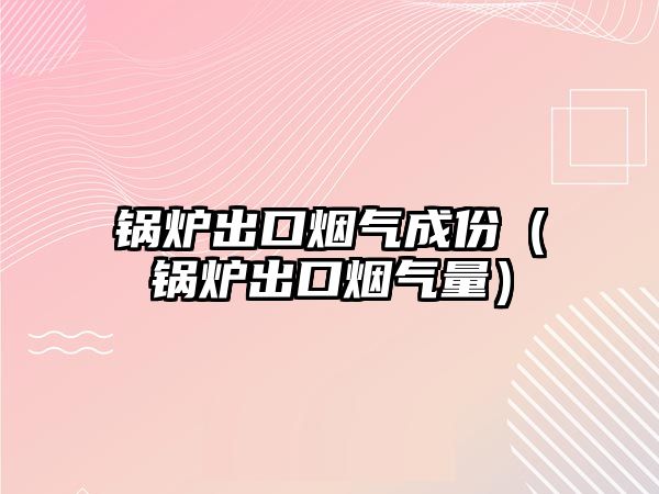 鍋爐出口煙氣成份（鍋爐出口煙氣量）