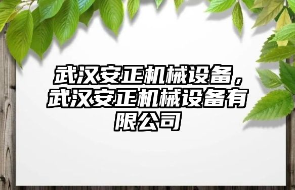 武漢安正機械設(shè)備，武漢安正機械設(shè)備有限公司