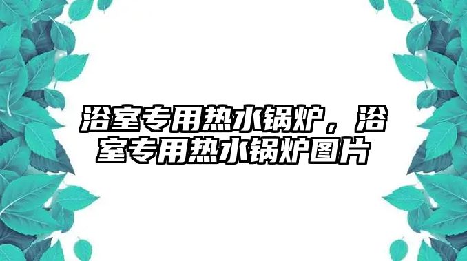 浴室專用熱水鍋爐，浴室專用熱水鍋爐圖片